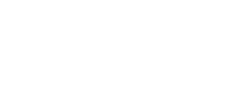Coursier Metz